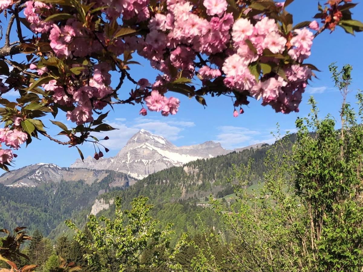 Chalet Nanook Notre-Dame-de-Bellecombe Εξωτερικό φωτογραφία