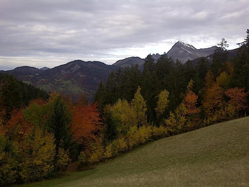 Chalet Nanook Notre-Dame-de-Bellecombe Εξωτερικό φωτογραφία