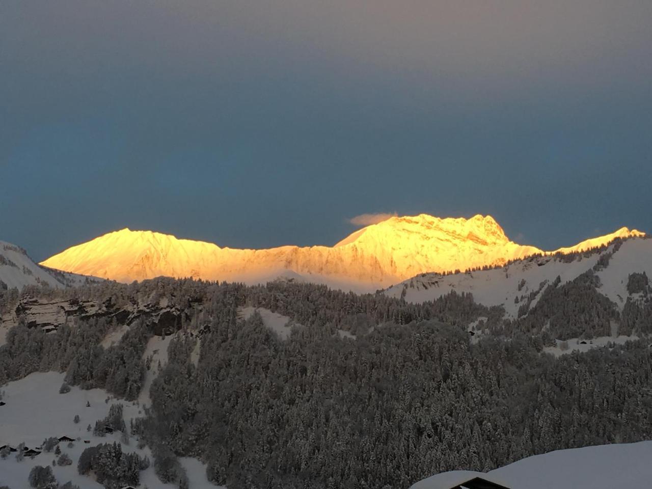 Chalet Nanook Notre-Dame-de-Bellecombe Εξωτερικό φωτογραφία